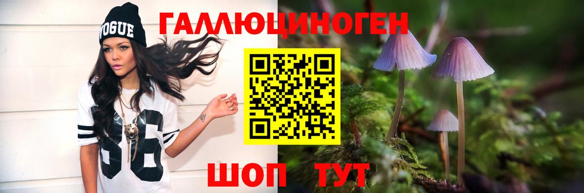 Калининград  купить наркотик  Вход с VPN  Псилоцибиновые грибы мицелий 